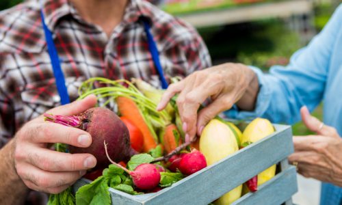 Male farmer selling fresh summer vegetables to senior woman. Carrots, radishes,  and a beet are all in the small basket. The man is wearing a blue apron. Close up of vegetables and hands, the faces are out of the shot.
