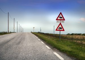 Nordkapp – en opplevelse for livet 22